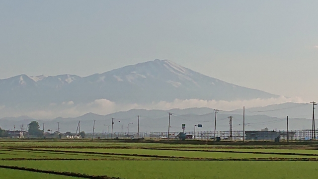 鳥無き里の蝙蝠(コウモリ)…自分を磨き続ける…