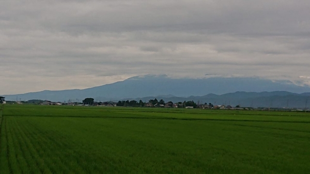 7月も終わり…梅雨は空けませんしコロナも収束しません…倉庫が無い工場が一番!