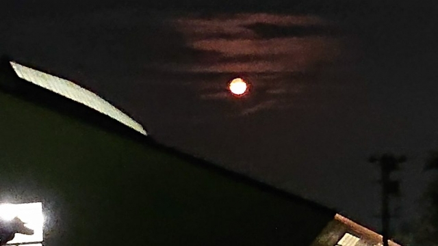 赤い月…何で赤いか知ってます?  知らないことをそのままには誰の得にも…