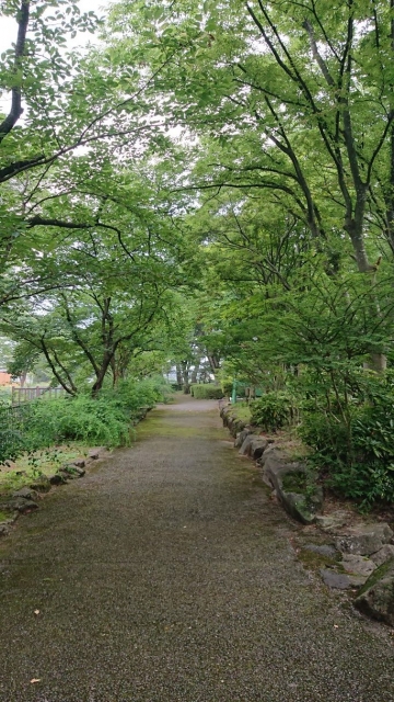 近くの公園をウォーキング…やっぱり働き方改革、女性活躍…人財育成は共通の課題ですね