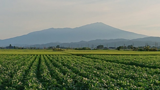 情報の鮮度が品質を左右する。