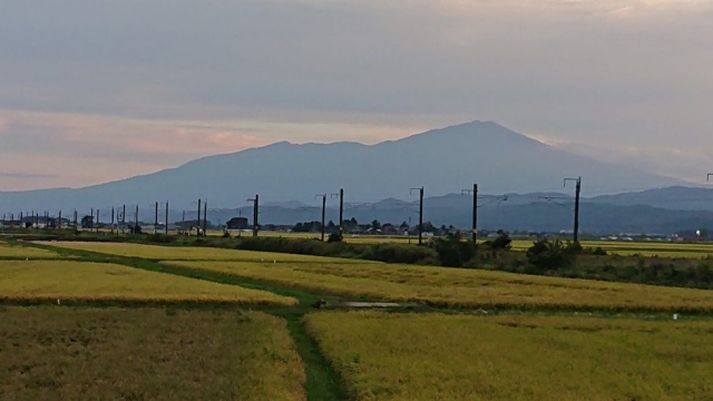 秋らしくなってきました…間接業務の時間を明確に!