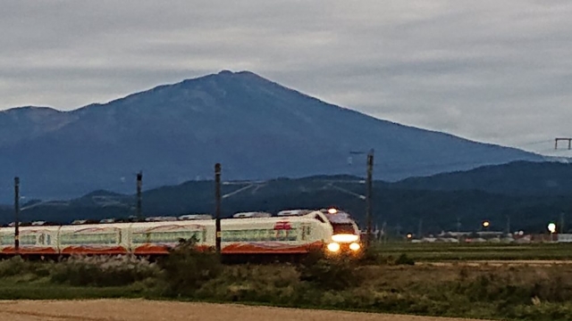 昨日、今日と暖かい?…モノを溜めるリスクについて