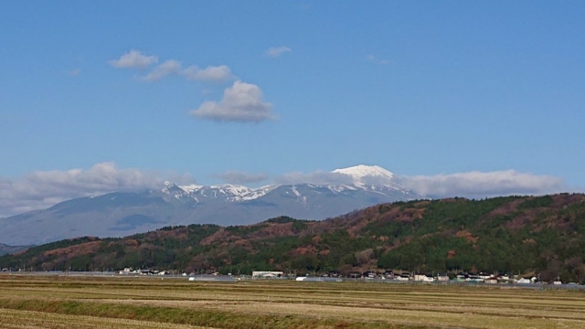 シチュー? カレー? …実験。