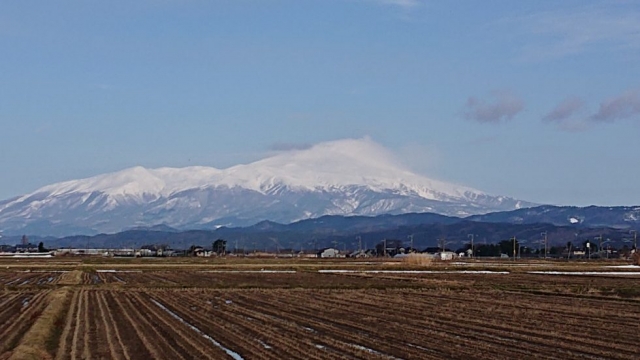 倉庫の面積使用率は何パーセントですか?