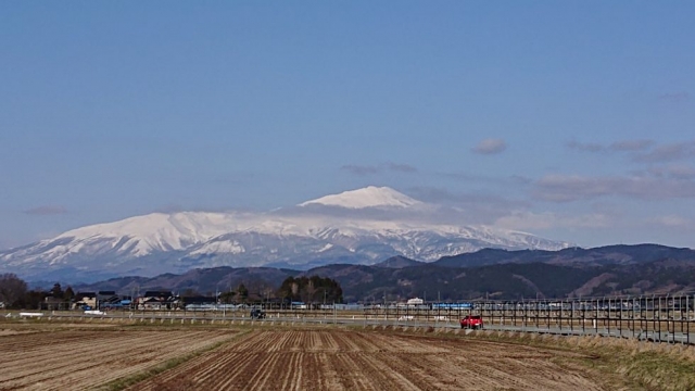 大事に乗ってても…傷みは現れますね、手を入れます