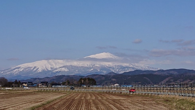 大事に乗ってても…傷みは現れますね、手を入れます