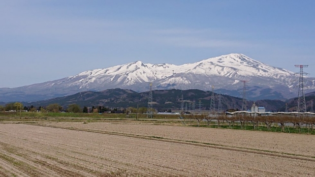 このあたりの桜…まだ咲きませんね？、でも春は…。