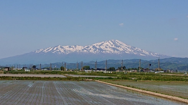 儲かる会社と儲かり続ける会社…種は蒔き続ける