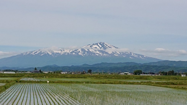 倉庫、棚…物がある場所の改善は、一旦空にする!