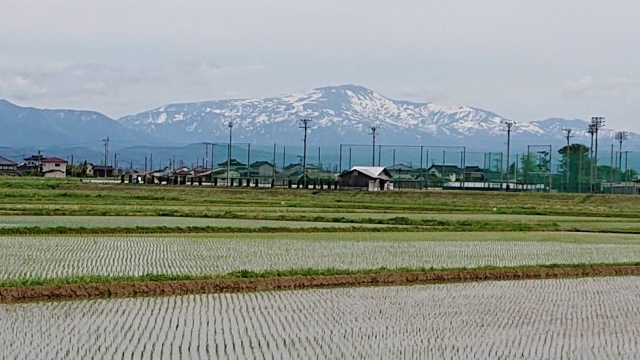 業務改善、改革…何から手をつければ良いの？