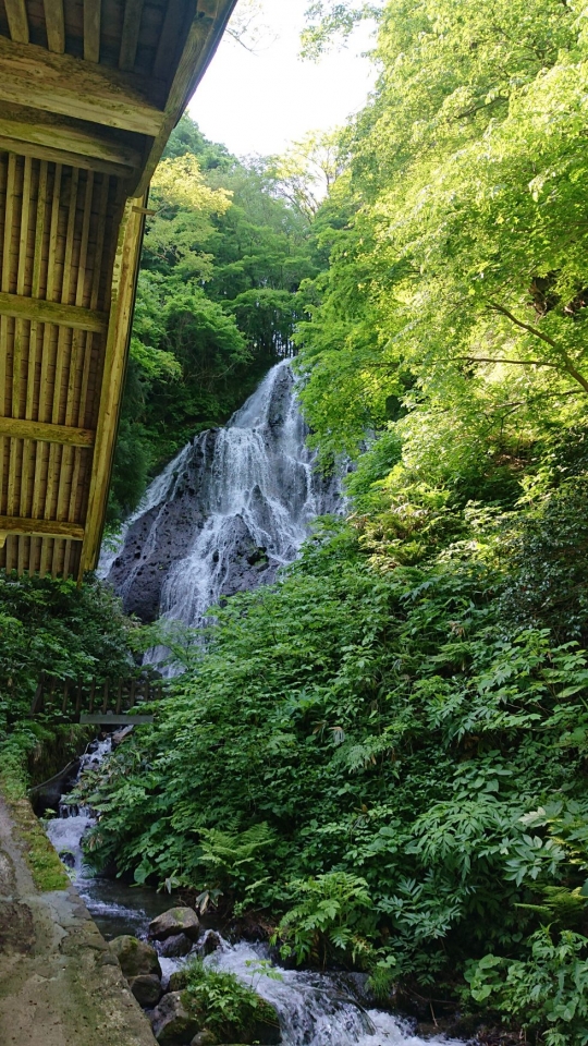 天候回復…ちょっと気分転換にゴルフボールの色を…