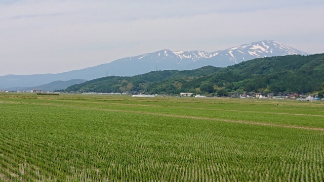 無事滞りなく、コンペ参加～帰宅しました。