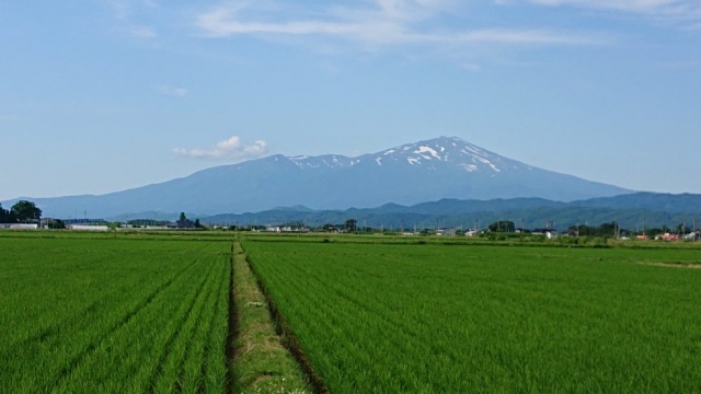 改善のネタ…日々の出来高、何でバラツクの？