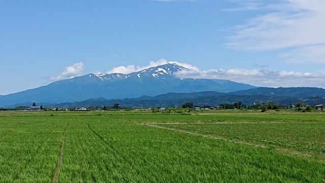 物があるから管理する、物があるから避ける…いる？