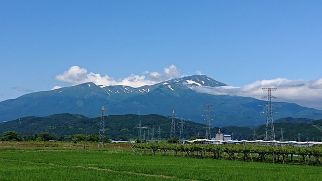 目的にあったレイアウト…コ　＝　最適を選択する