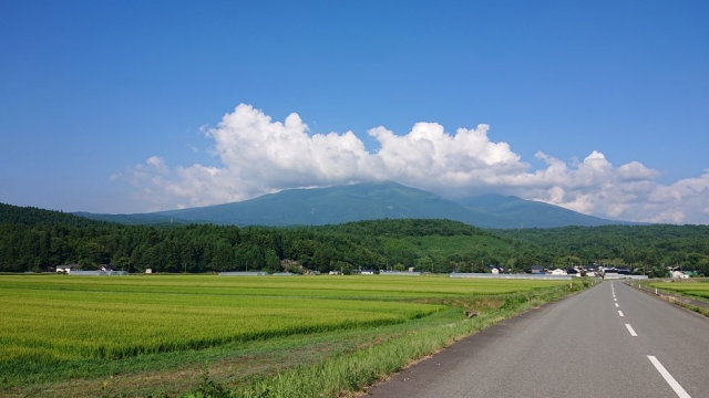 先に考えるべき事…どうしたいか、どうありたいか？