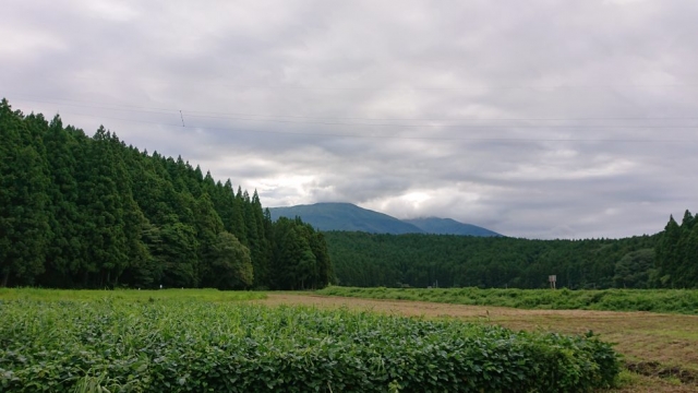 改善の例題…人の動き、動作をみるっていうけど？