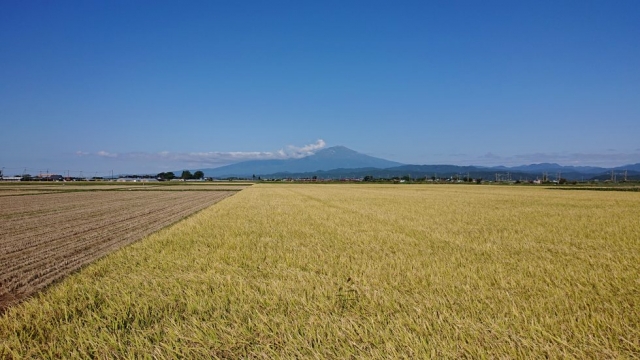 マネジメント…何の為に、誰が、何をを具現化してみる