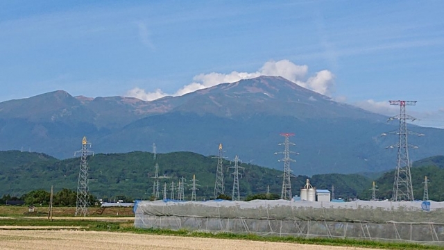 マネジメント…部下と集団を通じて目標達成