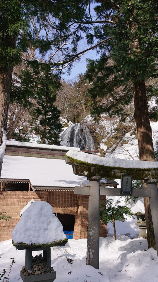 品質管理…必要なのは、監察医ではなく、お医者さん