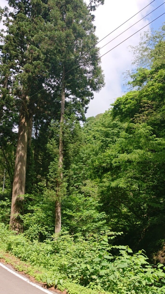 上半期が終わる…計画達成度はどうでしょうか？