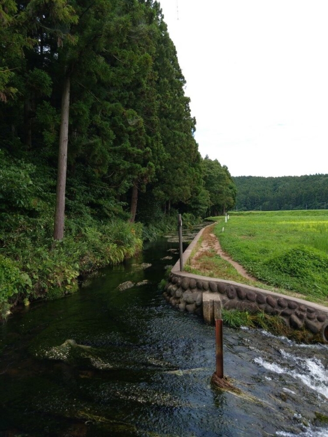 改善脳…疑問を持って見ないと見えない改善ネタ