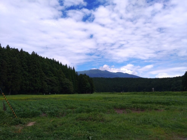 繰り返されるちょい置き…それ、もうちょい置きではありません