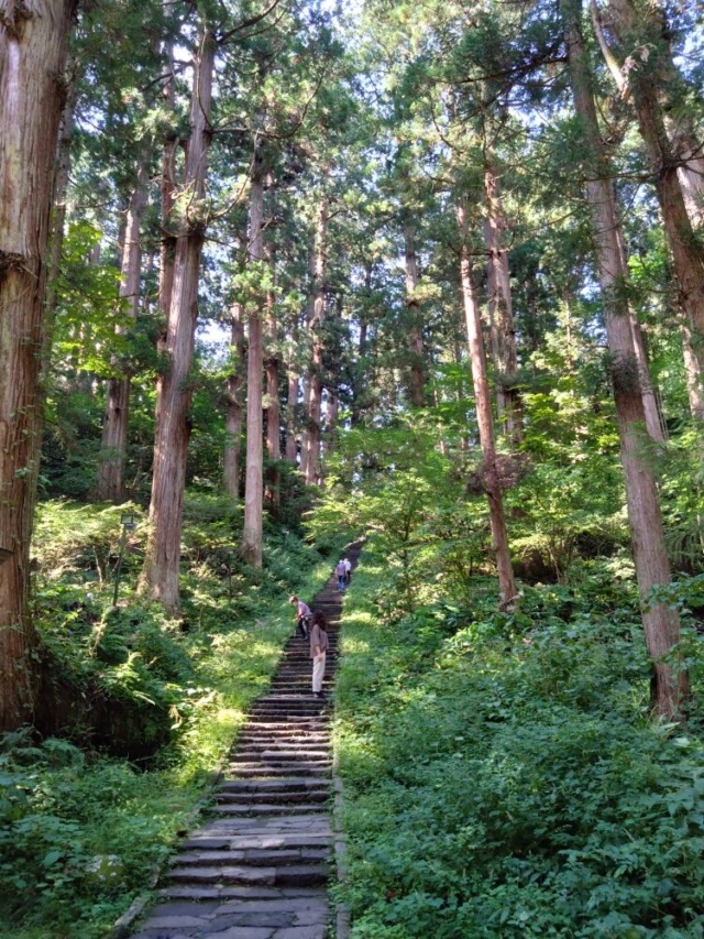 これ、効果あるのかな？…根拠のない〇〇生産性落としているかも？