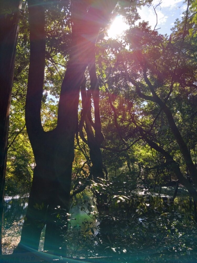 不良が少ない時、多い時…偶然でなく、何かが変化