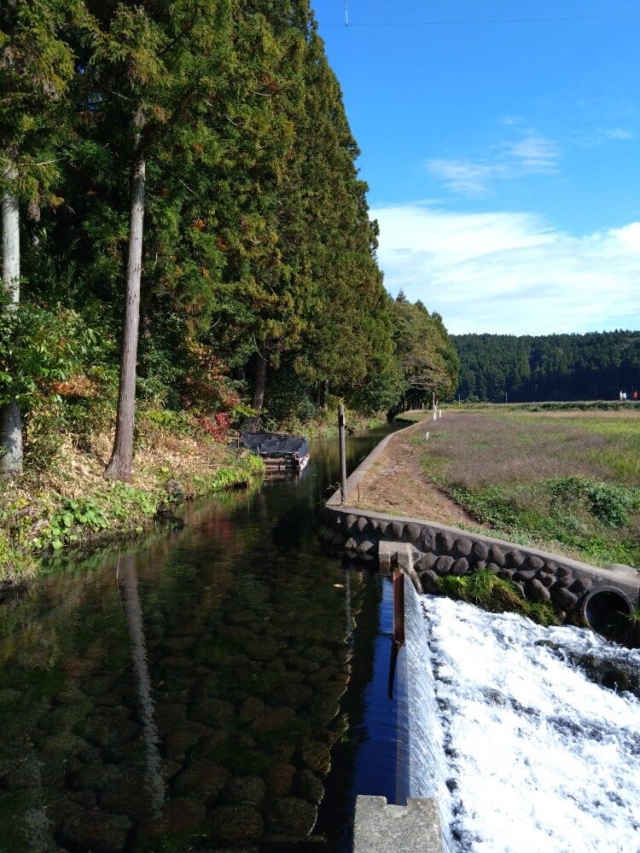 大掃除…綺麗にしたから終わりではもったいない