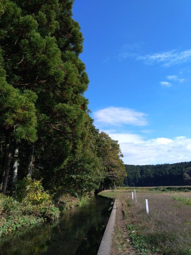 そろそろ期末…今期計画の達成状況と来期の計画は？