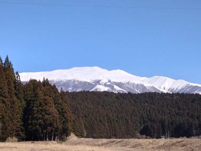 興味が持てたら…何でも教科書に