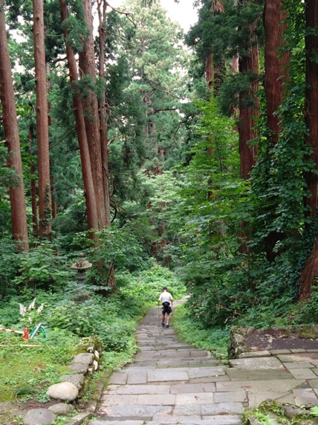 行動…動かなければ失敗もしないが、成功もしない