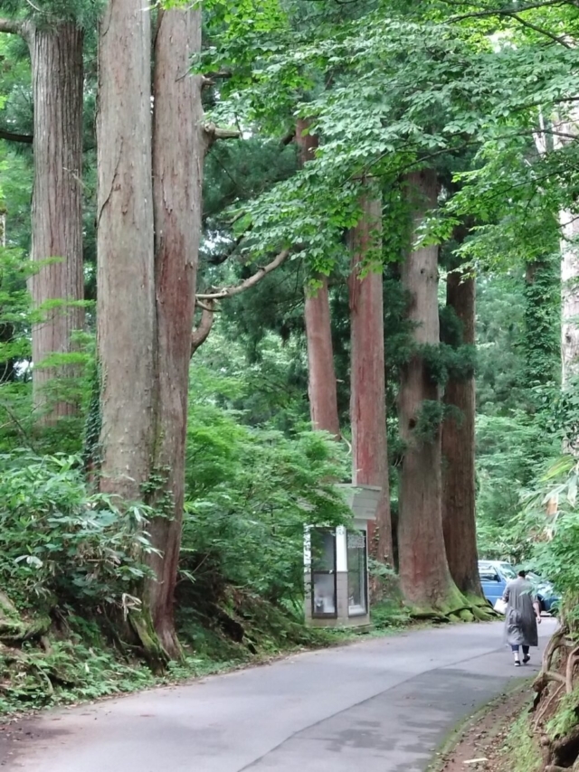 指示を守らない…ルールになっていないのでは？