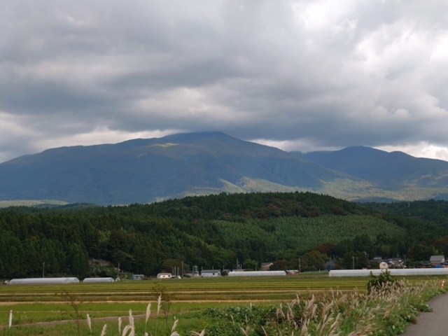 お客さんの動線…客観的に見えた疑問にヒントが